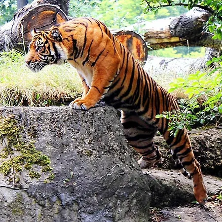 Better Place Classical Apartmán Varšava