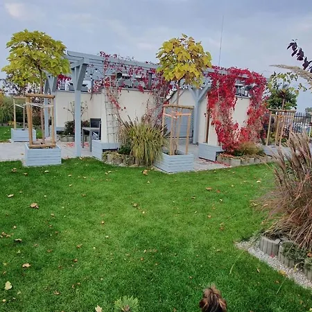 Better Place Classical