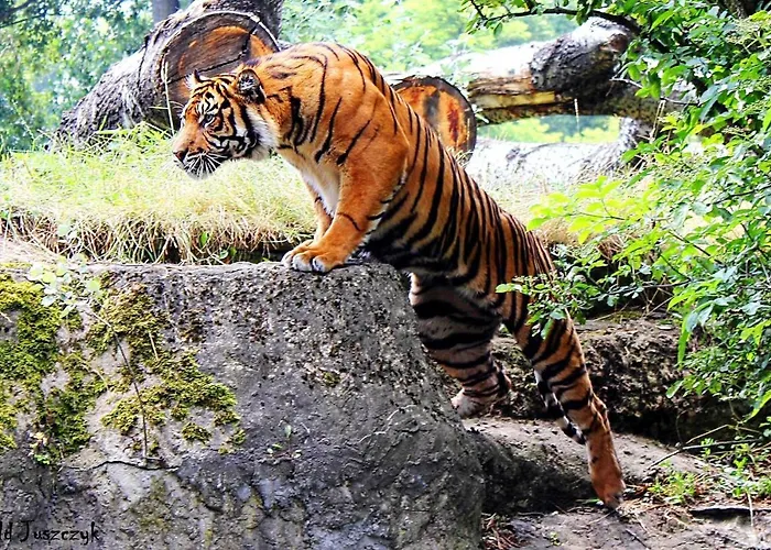 Better Place Classical Apartment Warsaw